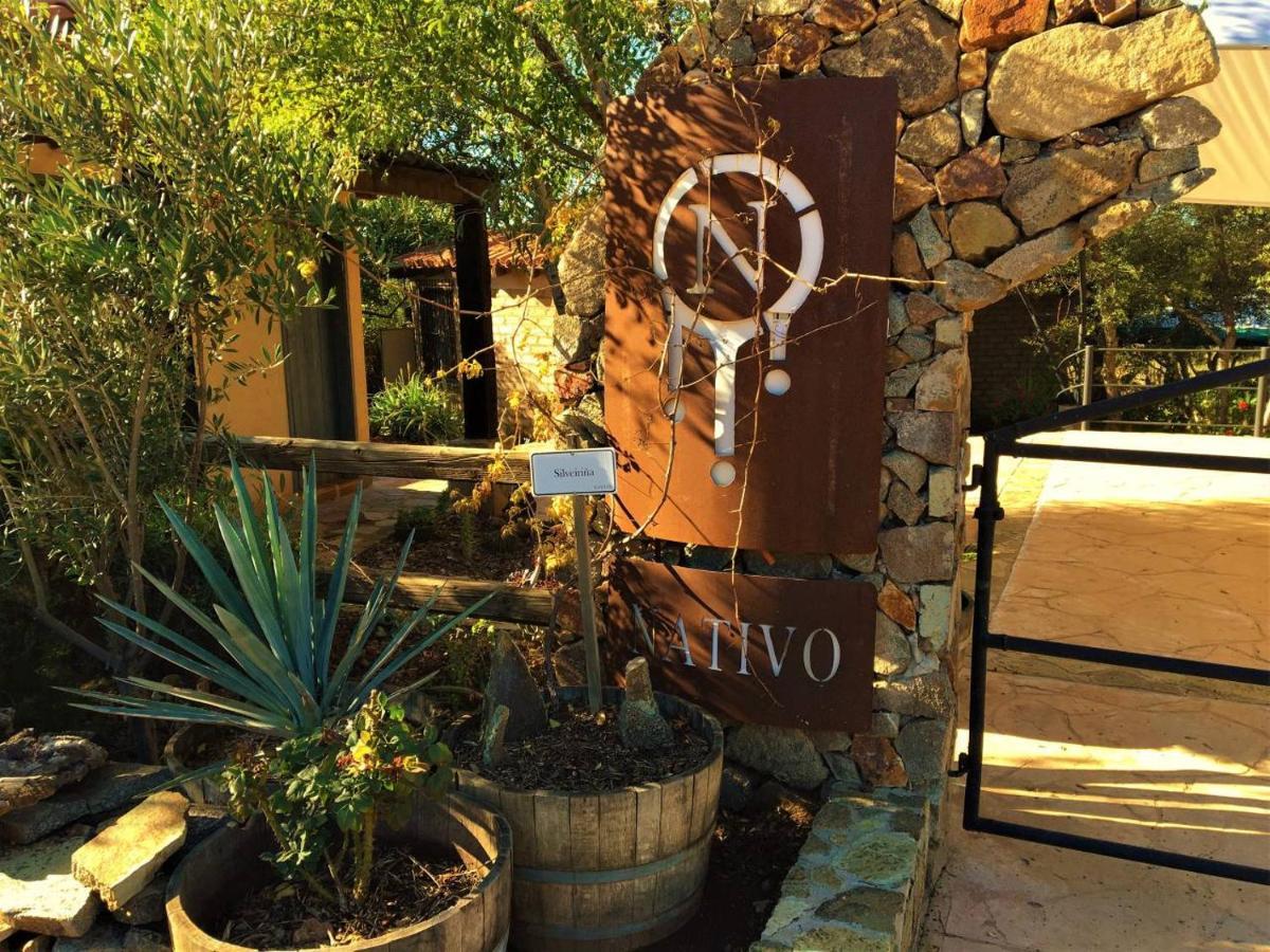 Suites Nativo - Beautiful Vineyard & Valley View Valle de Guadalupe Buitenkant foto